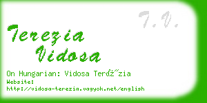 terezia vidosa business card